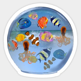 Aquarium Globe - Octopus squid and friends  tropical Coral reef fish rainbow coloured / colored   fish and octopus swimming under the sea Sticker